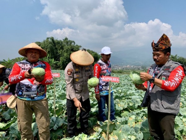 Jelajah Desa Wisata di Desa Madiredo
