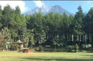 Precet Forest Park Suguhkan Alam Hijau Nan Menawan hingga Spot Menarik untuk Wisatawan