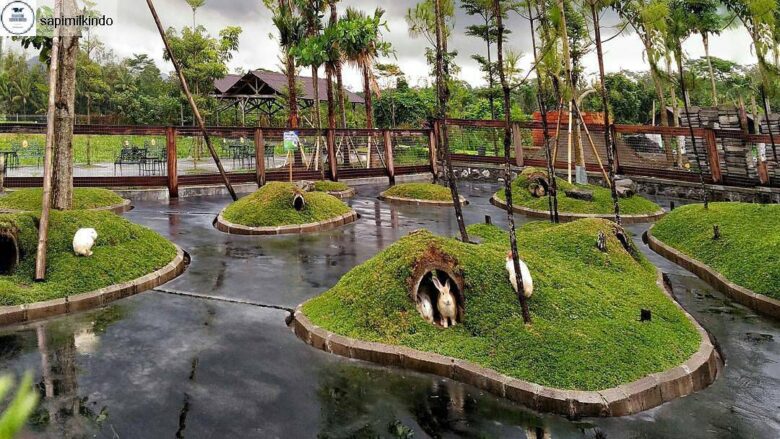 Milkindo Green Farm, Wisata Edukasi Favorit Keluarga di Kepanjen Malang