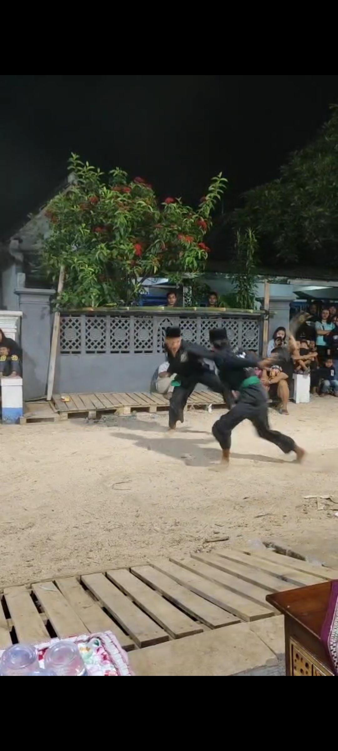 Seni Pencak Silat dan Bantengan kreasi